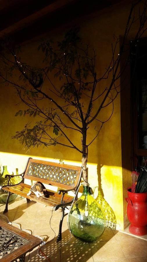 卡斯蒂廖内德莱斯蒂维耶雷La Cascina Di Alice住宿加早餐旅馆 外观 照片